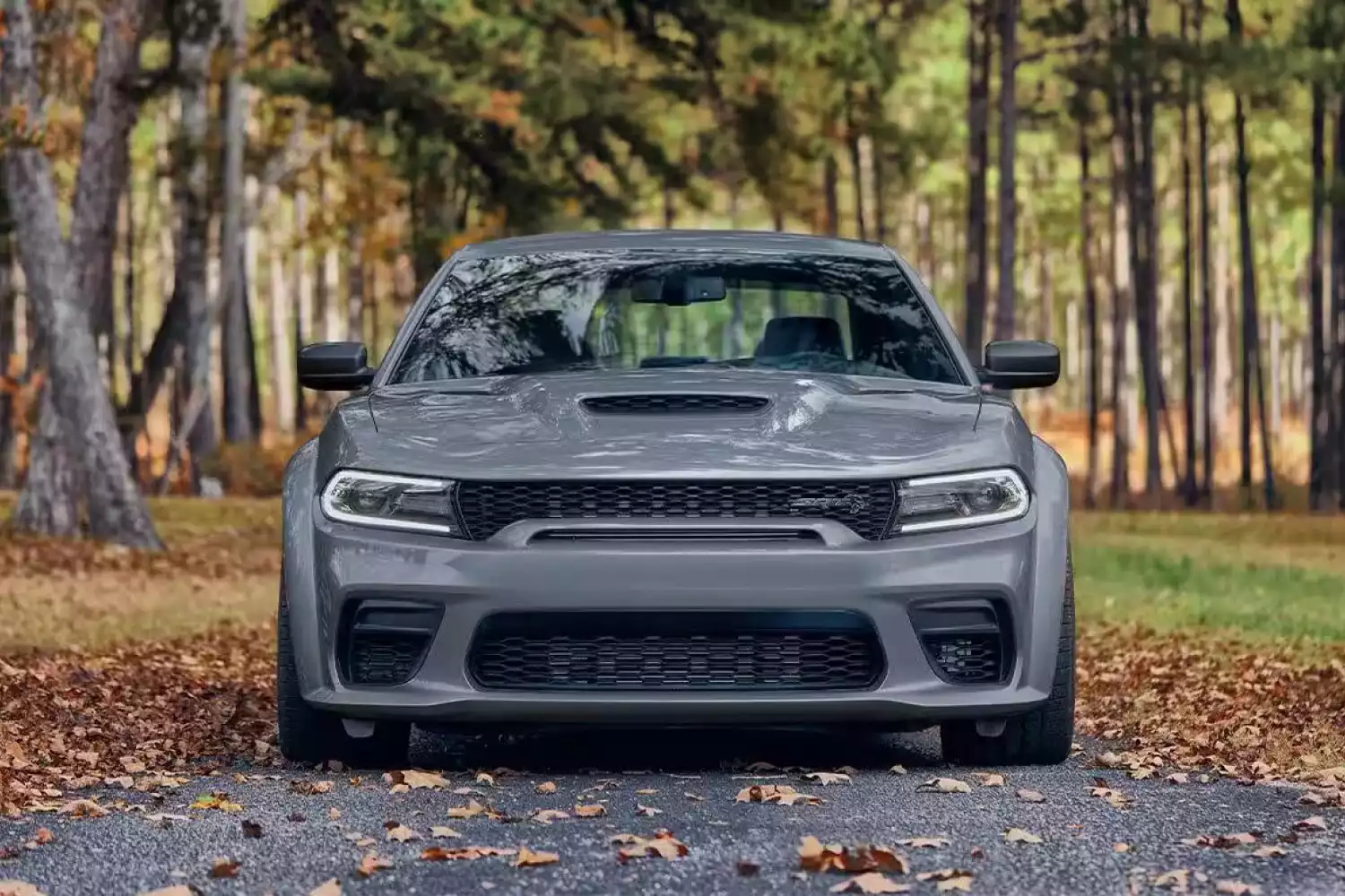 trash containers for Dodge Charger