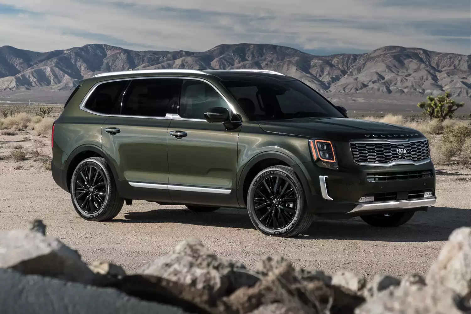 Kia Telluride organizer for road trip