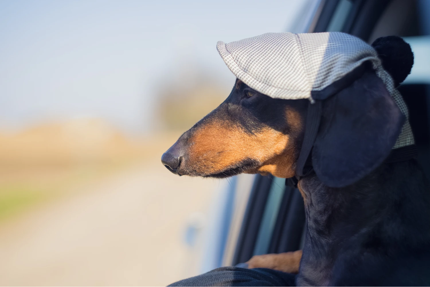 Jeep Cherokee Dog Carrier Car Seat for Dachshund