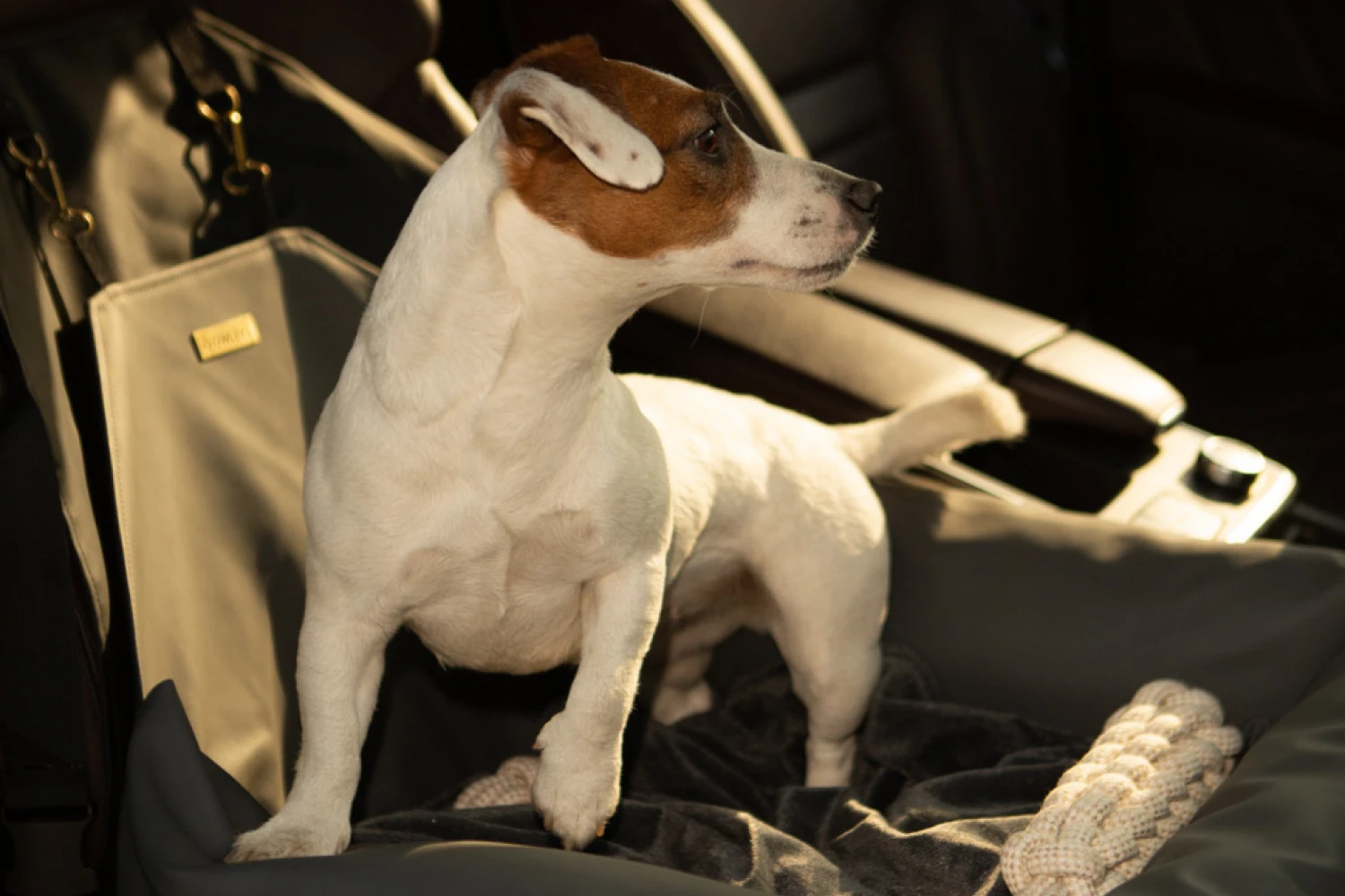 Mercedes-Benz GLC Dog Car Seat for Dandie Dinmont Terriers