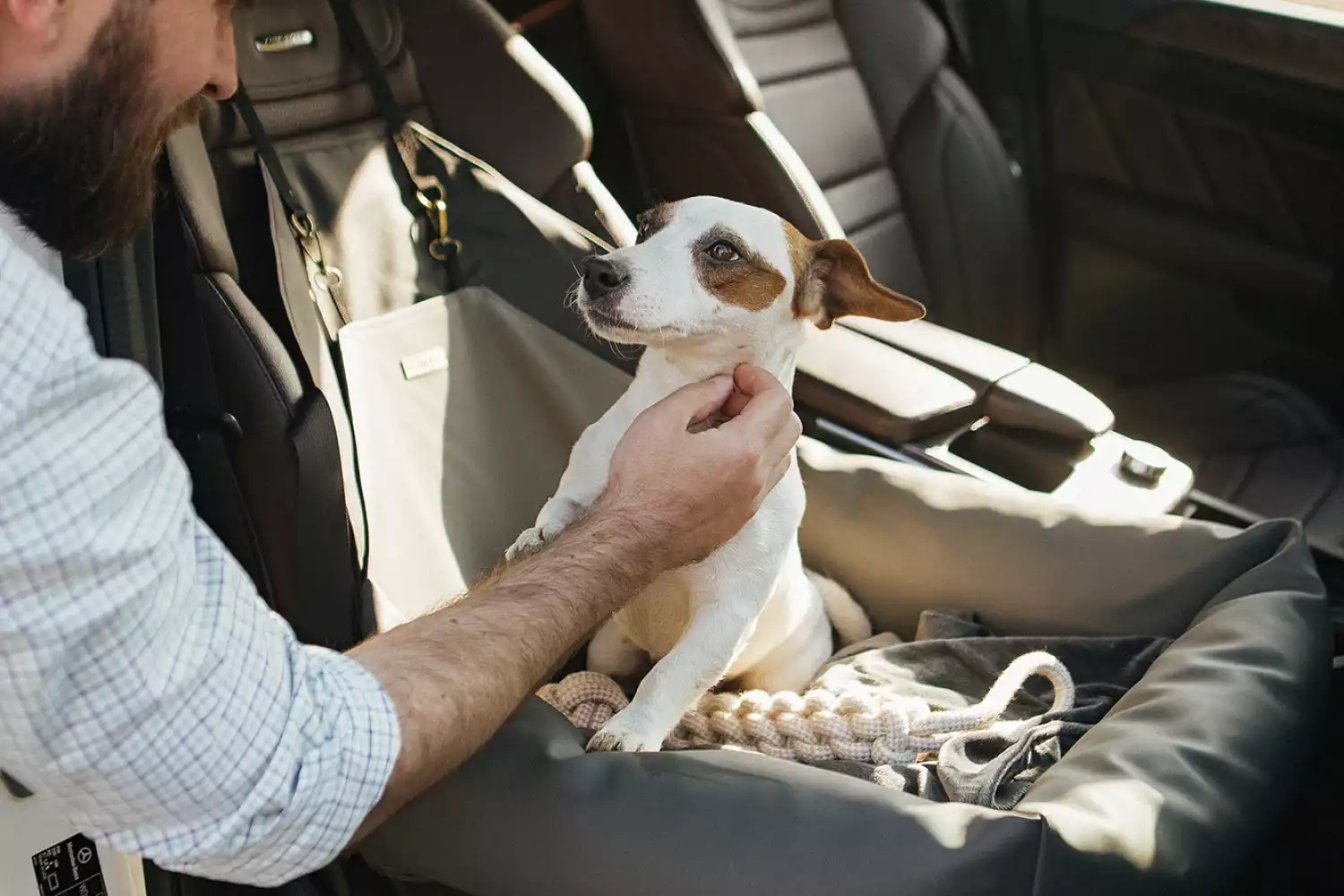 Mercedes-Benz GLC Dog Car Seat for Dandie Dinmont Terriers