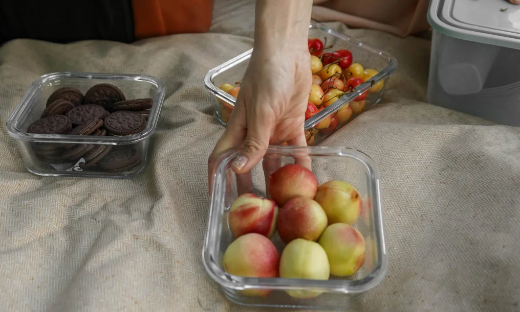 beach picnic blanket mat